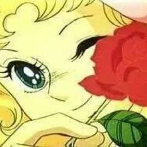 Meet your Posher, Dinha